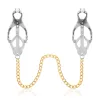 Silver Clip-Gold Chain