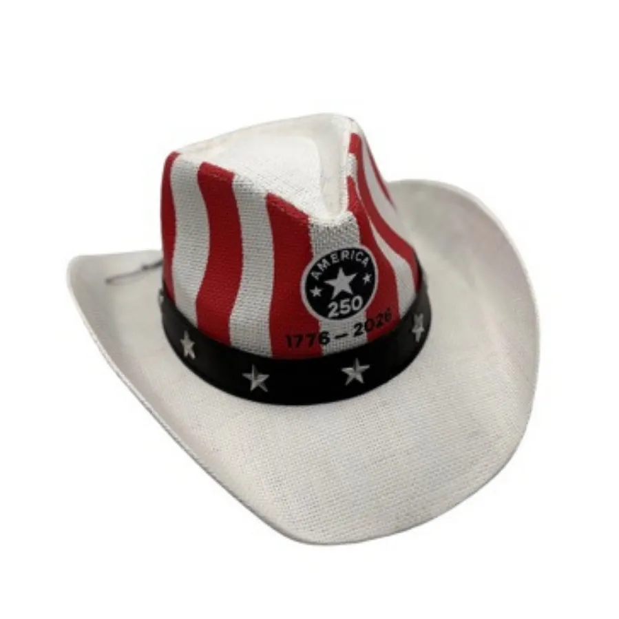 American Flag Print 250 Anniversary Independence Day Bucket Hat Paper Conical Stripe