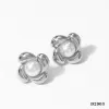 Silver Earrings (D2903)