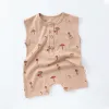 Khaki Mushroom