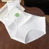 This White