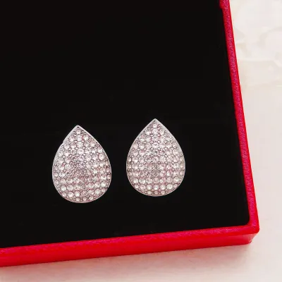 Women Fashion Simple Rhinestone Water Drop 316L Stainless Steel Drop Earrings