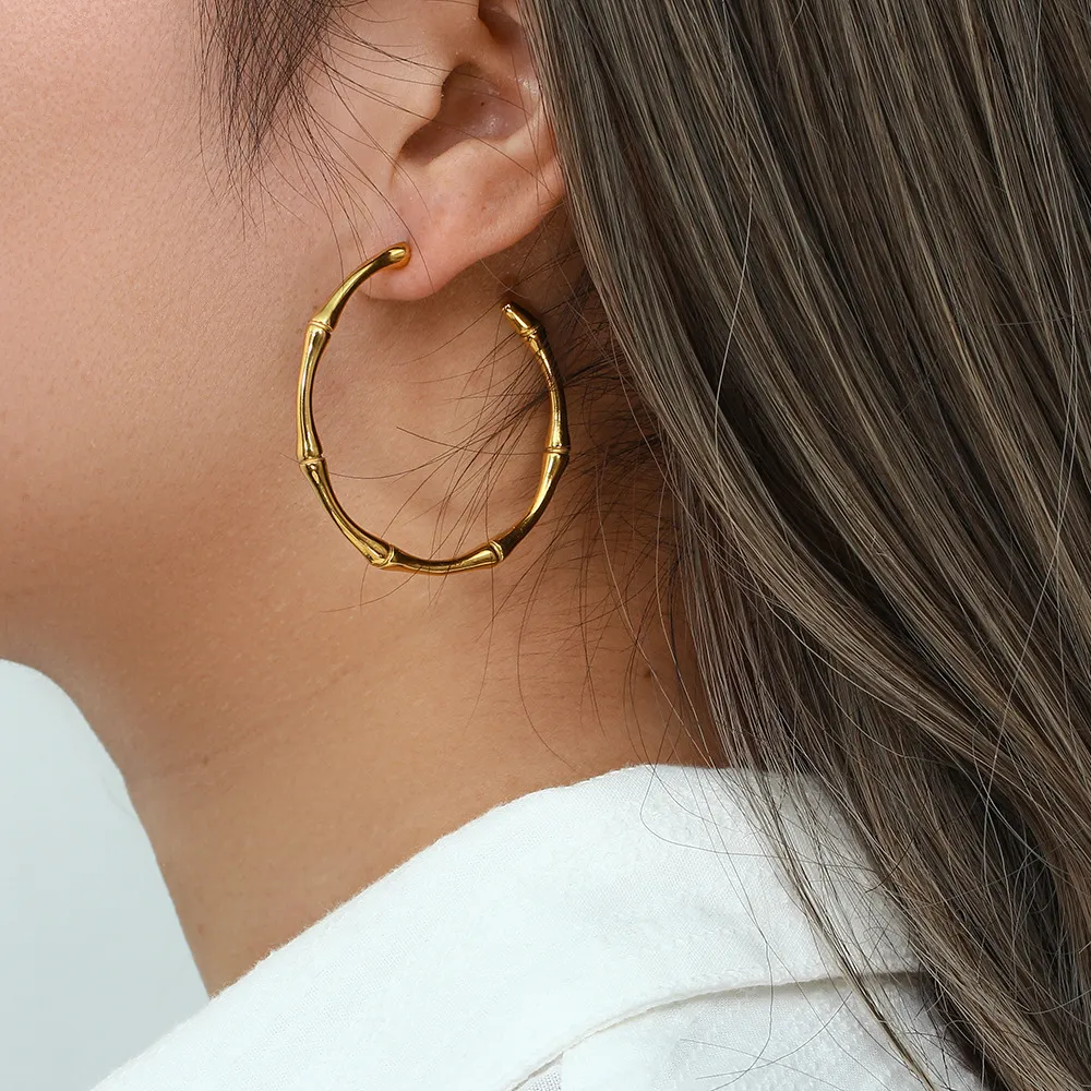 Fashion Geometric Thin Bamboo 316L Stainless Steel Earrings