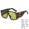 SD89264 Green Framed Green