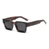 Leopard Frame Gray