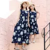Navy Blue White Chrysanthemum