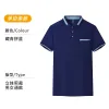 Navy Blue (Single Collar)