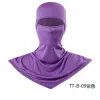 TT-B-09 Purple