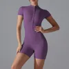 Grape Thistle Purple
