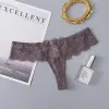 Gray-Purple