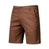 019 Brown