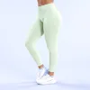 Palm Green