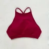 Wild Plum Color