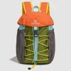 Warm Orange Green