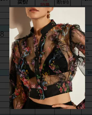 Women Fashion Sexy Elegant Lace Perspective Flower Chiffon Long Sleeve Blouse