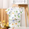 White Background Suit-Tricolor Dinosaur