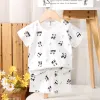 White Background Set-Bamboo Leaf Panda