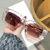C5 Champagne Frame Double Tea