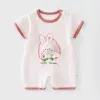 Pink Bunny