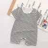 Black Stripe