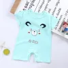 Light Green Bear