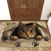 American Cat -3
