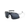 White Frame Gray Lenses