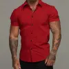 Dark Red