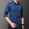 D.Blue 2