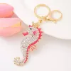 Seahorse 1