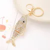 Segmented Fish