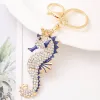 Hippocampus 2