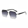 Black Silver Frame Double Gray