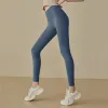 D.Grey Blue