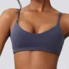 Blue-Gray