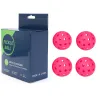 Rose  [Color Box Packaging]