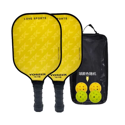 Fashion Glass Fiber Pickleball Paddle Racket Set