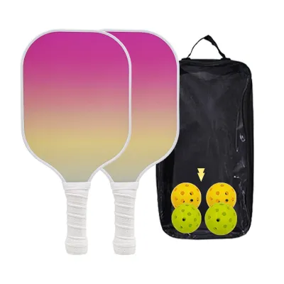 Fashion Pp Honeycomb Glass Fiber Pickleball Paddle Set