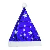 D.Blue Five-Star Gold And Silver Pup Hat