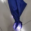 Ice Blue