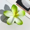 Green White