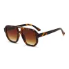 Hawksbill Framed Gradual Tea Lenses