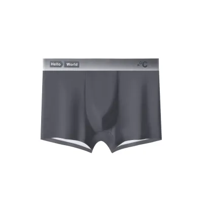 Men'S Fashion Solid Color Summer Ice Silk Underwear