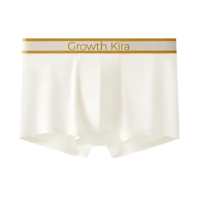 Men'S Fashion Simple Underwear