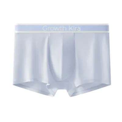 Men'S Fashion Simple Underwear