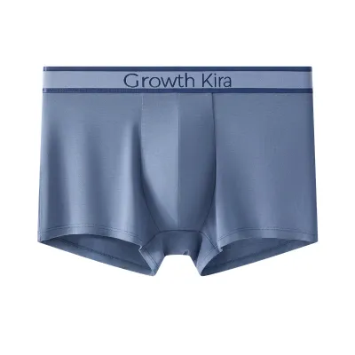 Men'S Fashion Simple Underwear