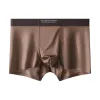 Dream Glass Brown