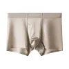 Silver Bamboo Gray