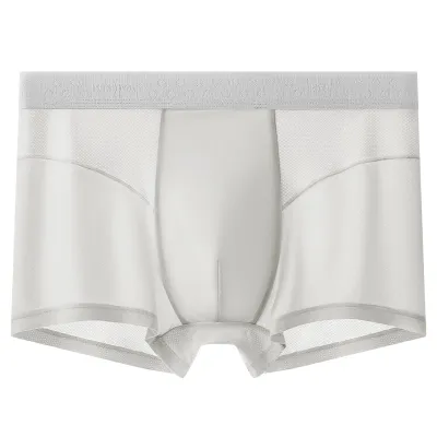 Men'S Fashion Summer Solid Color Ice Silk Mesh Breathable Underwear