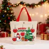 New Christmas Apple